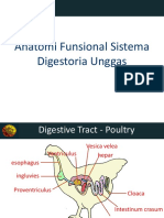 Sistema Digestoria UNGGAS