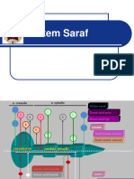 Sistem Saraf (DR Elisa)
