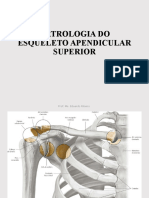 Anatomia I - Artrologia Do Esqueleto Apendicular Superior