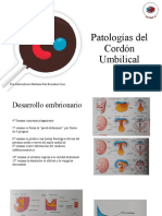 Patologías-del-CU 2.0 1