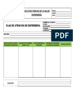 Plan de Atencion de Enfermeria