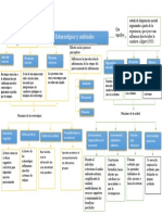 Mapa Estereotipo