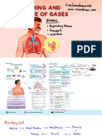 17. Breathing and Exchange of Gases (OneNote Ppt)