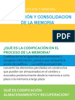 Codificación