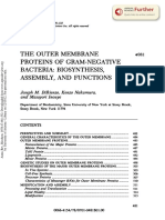 Outer Mebrane Protein