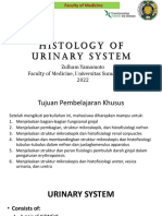 GUS1-K2-Histology of Urinary System 2022