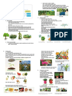 SCIENCE - Growing Plants