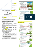 Chemical Basis of Life in Plants