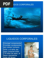 Download LIQUIDOS_CORPORALES by Eren Soa SN59658133 doc pdf
