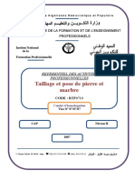 Taillage Et Pose de Pierre Et Marbre: Referentiel Des Activites Professionnelles