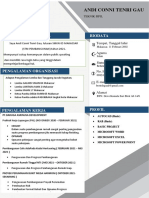 Curriculum Vitae Andi Conni Tenri Gau