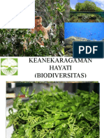 Keanekaragaman Hayati