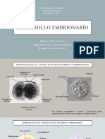 Desarrollo embrionario hasta la novena semana