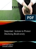 Important Actions To Protect Declining Biodiversity