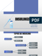 INSULINIZACION - Richard y Carlos