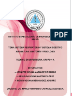 Sistema Respiratorio