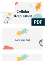 Cellular Respiration