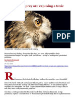 Raptors, PFA'S, Biomagnification, Guardian Sept 2020