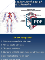 TLHT-Chương III - Giải Phẫu và Sinh Lý Hệ Tuần Hoàn