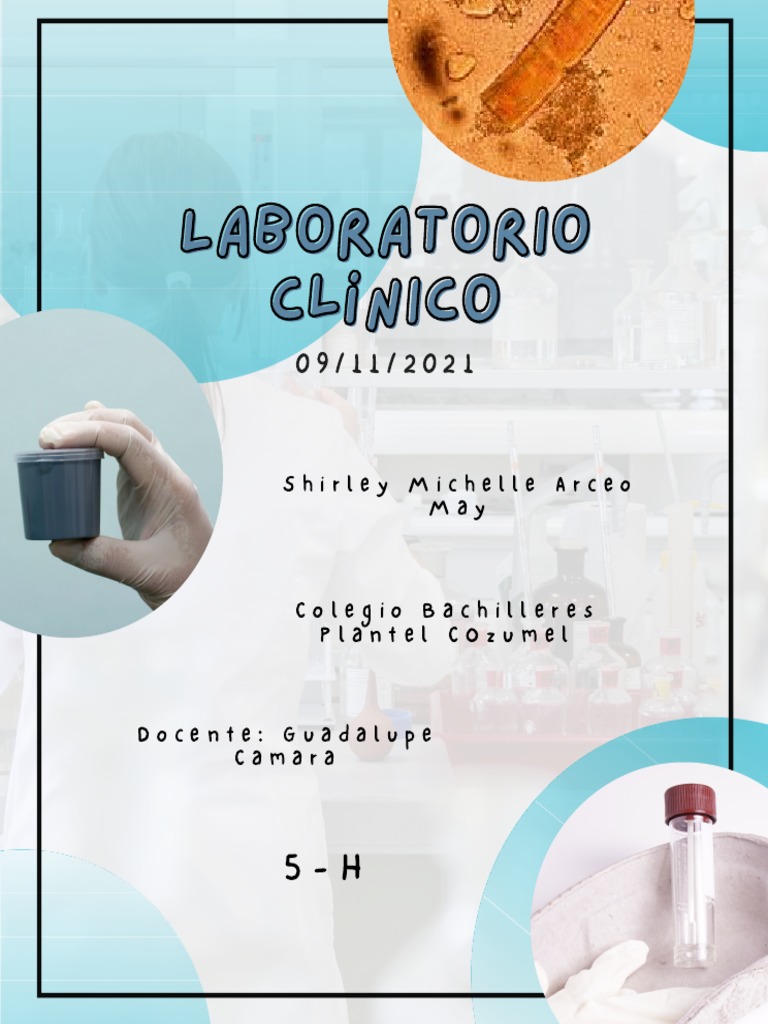 Examen Coprológico: Guía Completa | PDF | Heces | Epidemiología