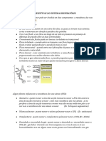 Propriedades Resistivas Do Sistema Respiratório