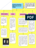 Mapa Conceptual - Protesis