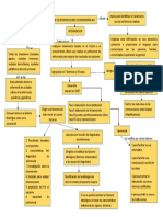 Mapa Conceptual Del NIC