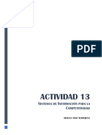 Actividad 13. Sistemas de Información para La Competitividad
