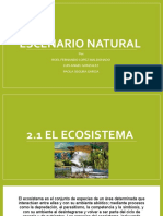 Escenario Natural