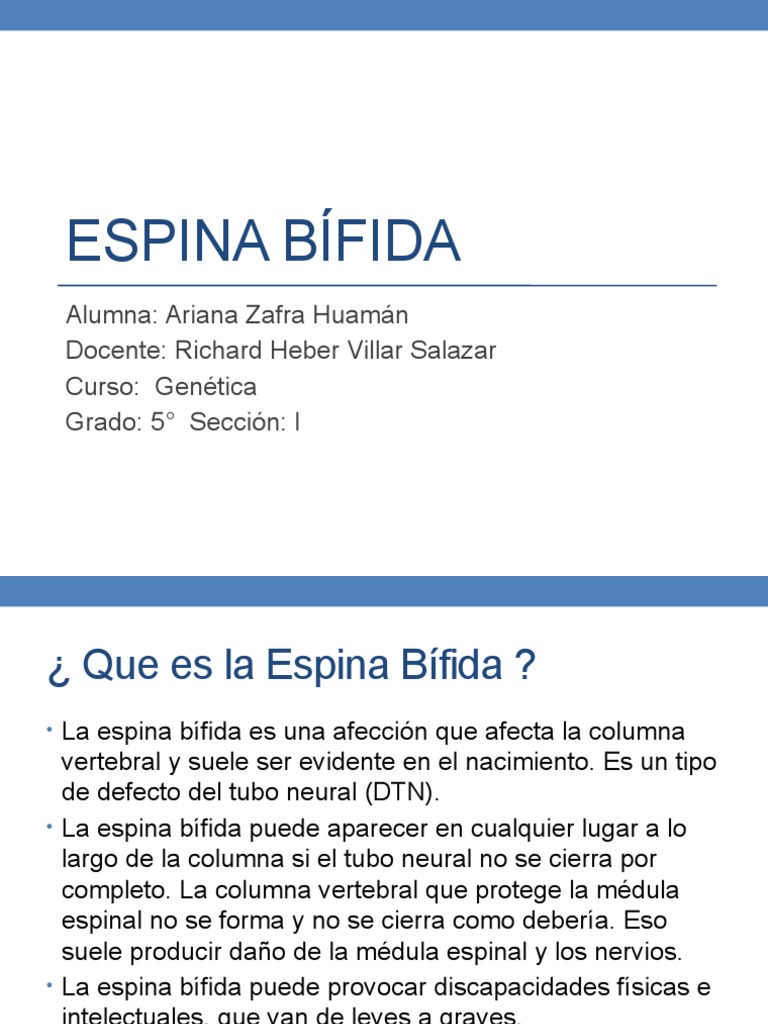 Espina Bífida: Tipos y Tratamientos | PDF | Sistema nervioso | Ciencias ...
