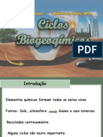 ciclos biogeoquimicos