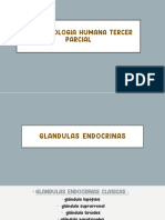 Guia Fisiologia Humana Tercer Parcial