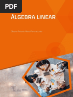 Álgebra Linear: Matrizes e Sistemas | PDF | Matriz (Matemática