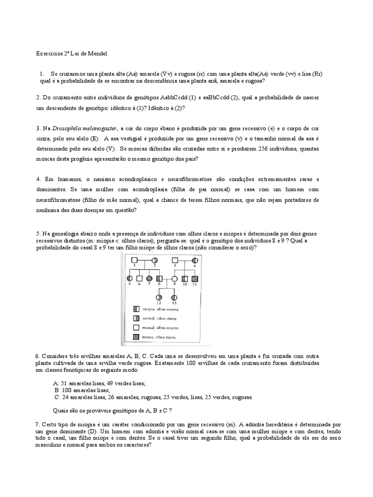 Exercícios 2 Lei de Mendel | PDF