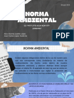 La Risa de La Bruja Sonaba (NORMA AMBIENTAL)