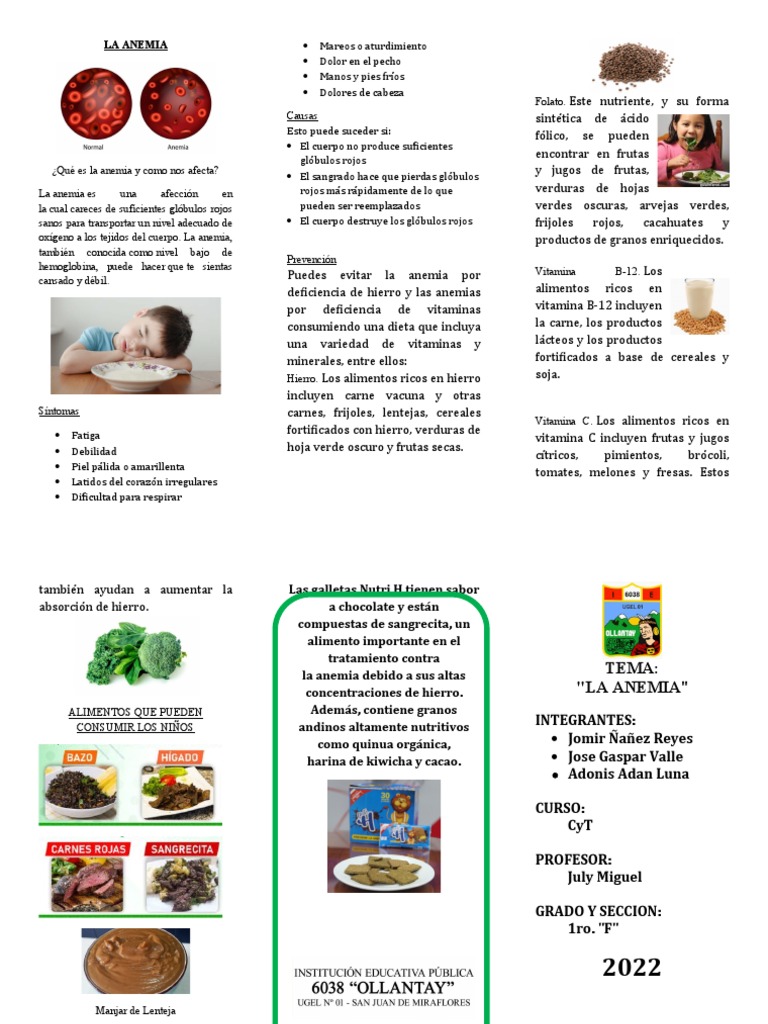 la-anemia-triptico-pdf-anemia-cereales