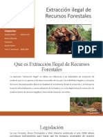 Extracción Ilegal de Recursos Forestales