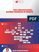 Estructura Organizacional - Inducción