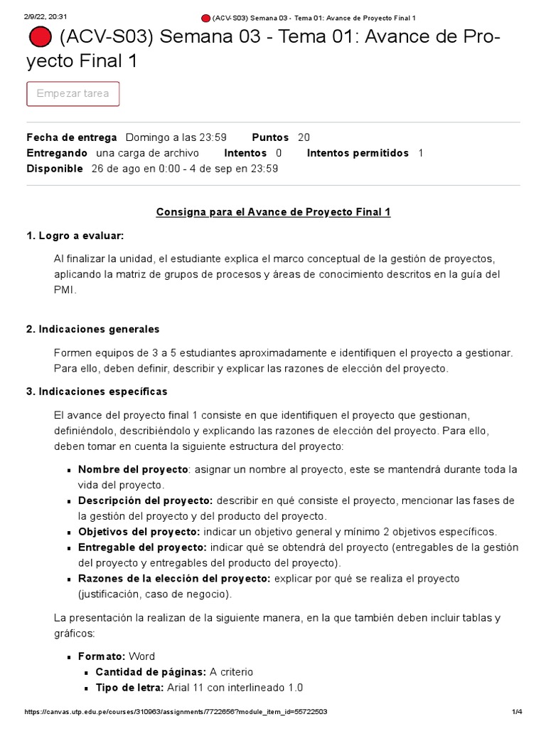 Avance Proyecto Final 1 - Semana 03 | PDF | Informática