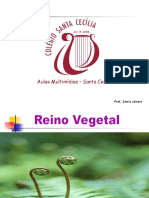 Reino Plantae