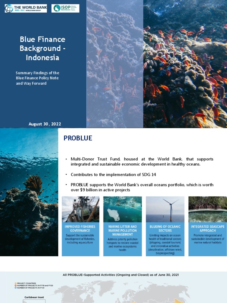 Indonesia's Blue Finance Policy Insights | PDF | Natural Environment ...