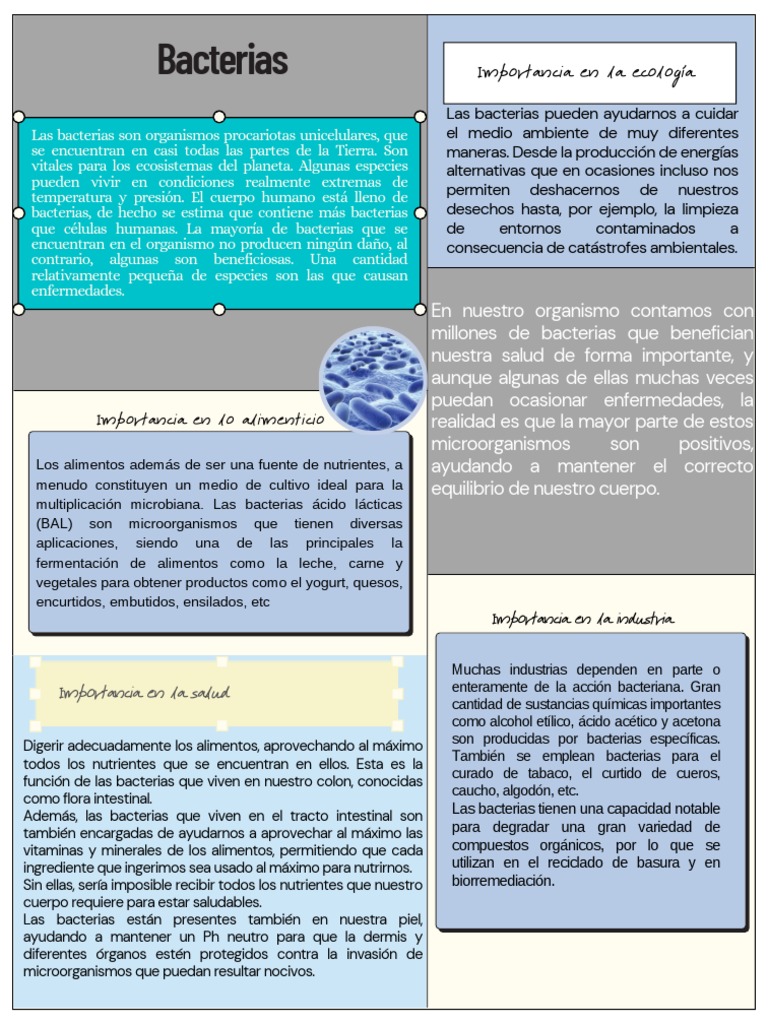 Importancia de Las Bacterias | PDF | Las bacterias | Alimentos