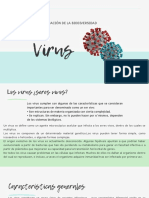 Todo Sobre Los Virus