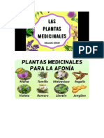 Plantas Medicinales