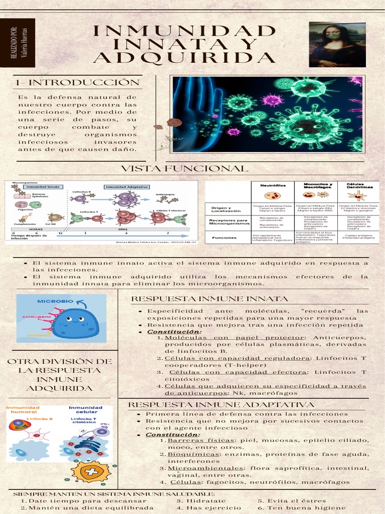 Inmunología - Infografía 1 | PDF | Sistema inmune | Infección