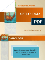 Unidad II - Osteologia