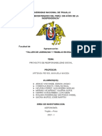 Estructura de Proyecto de Responsabilidad Social