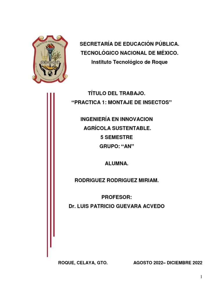 Montaje de Insectos en Entomología | PDF | Insectos