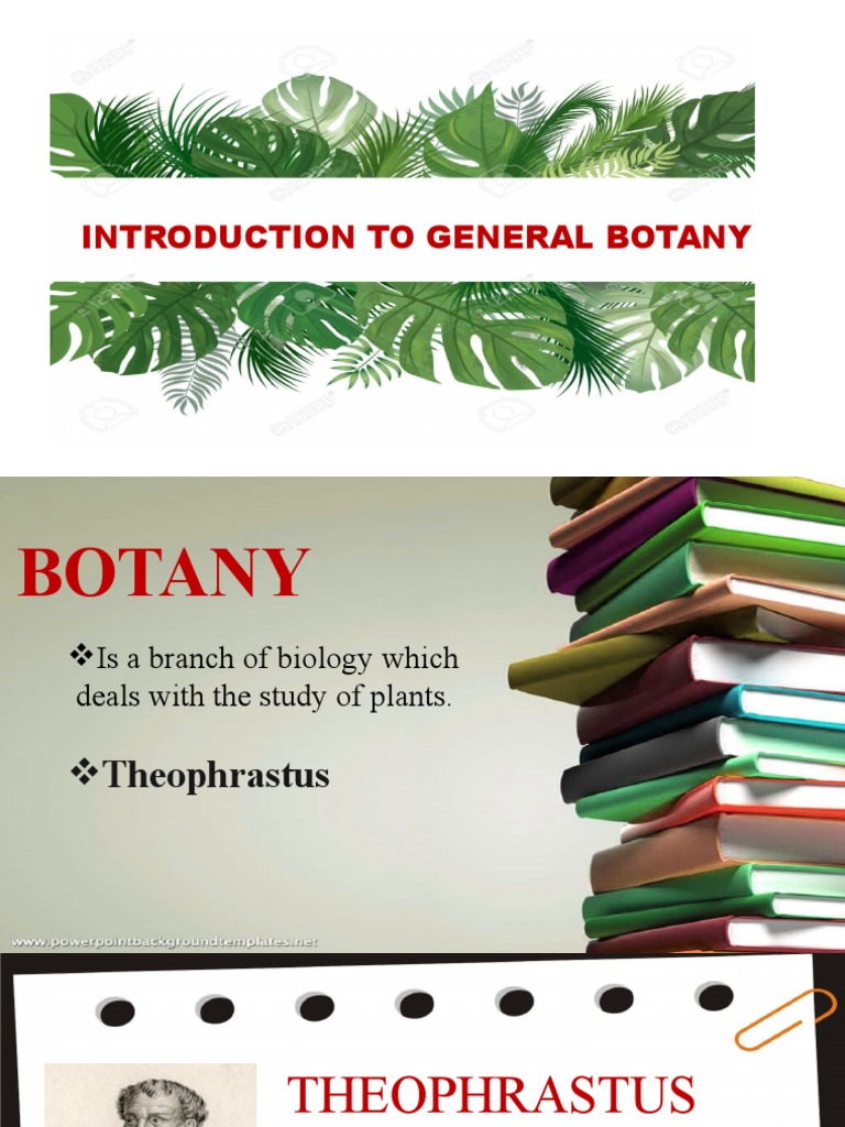 Introduction To General Botany PDF Plants Botany