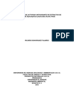 DPPH Pag 38 y 56 Determinación de Actividad Antioxidante Displostephuium Philyciode